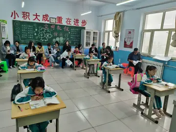 2022小学新课标数学学习活动心得体会范文（学习小学新课程标准数学心得感悟范例）