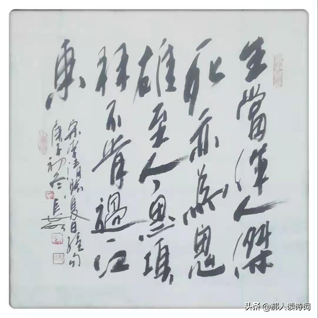 关于夏日绝句的诗意有哪些（分享经典夏日绝句及详细介绍）