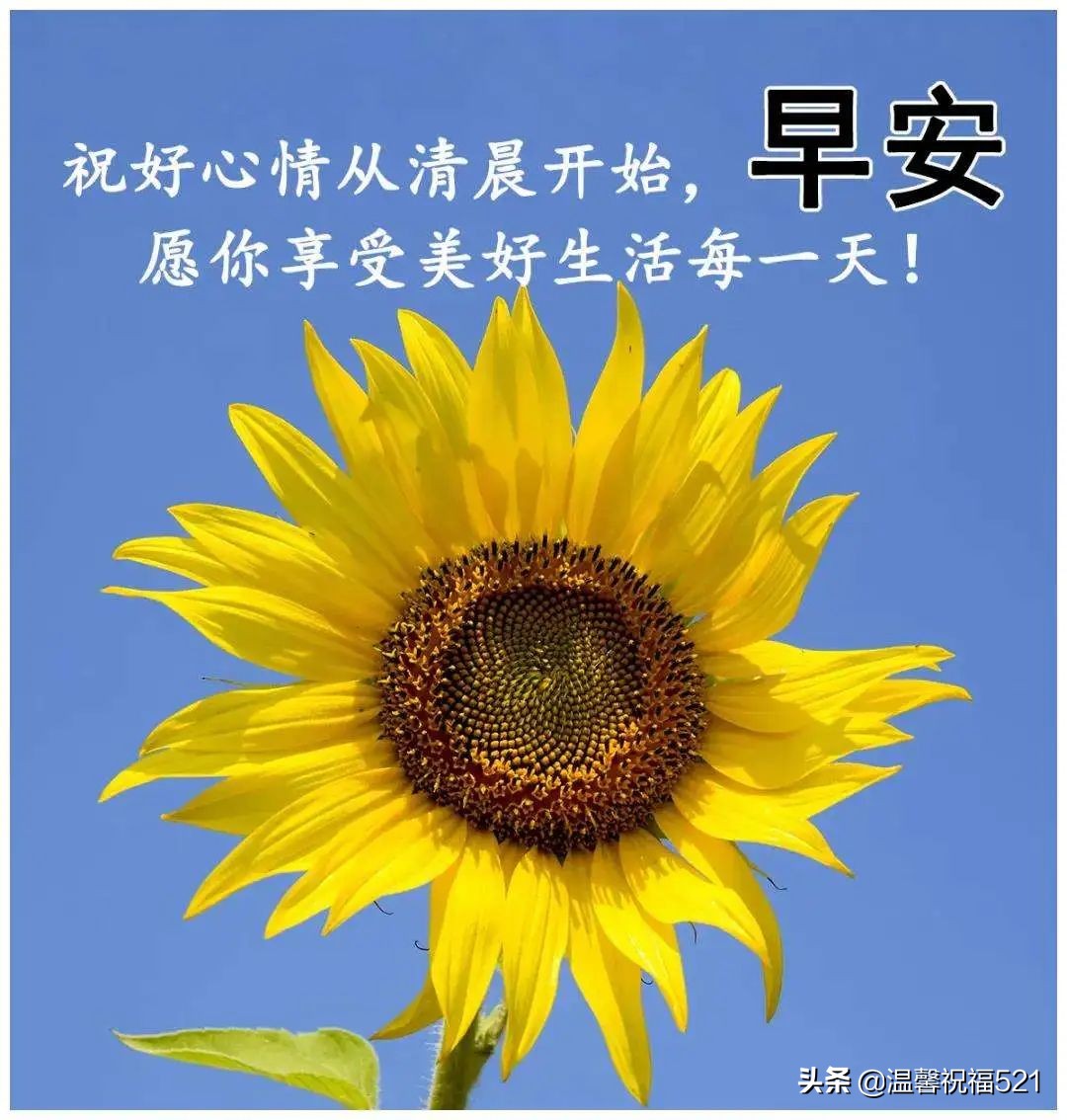 小暑节气文案祝福语，关于小暑节气的文案