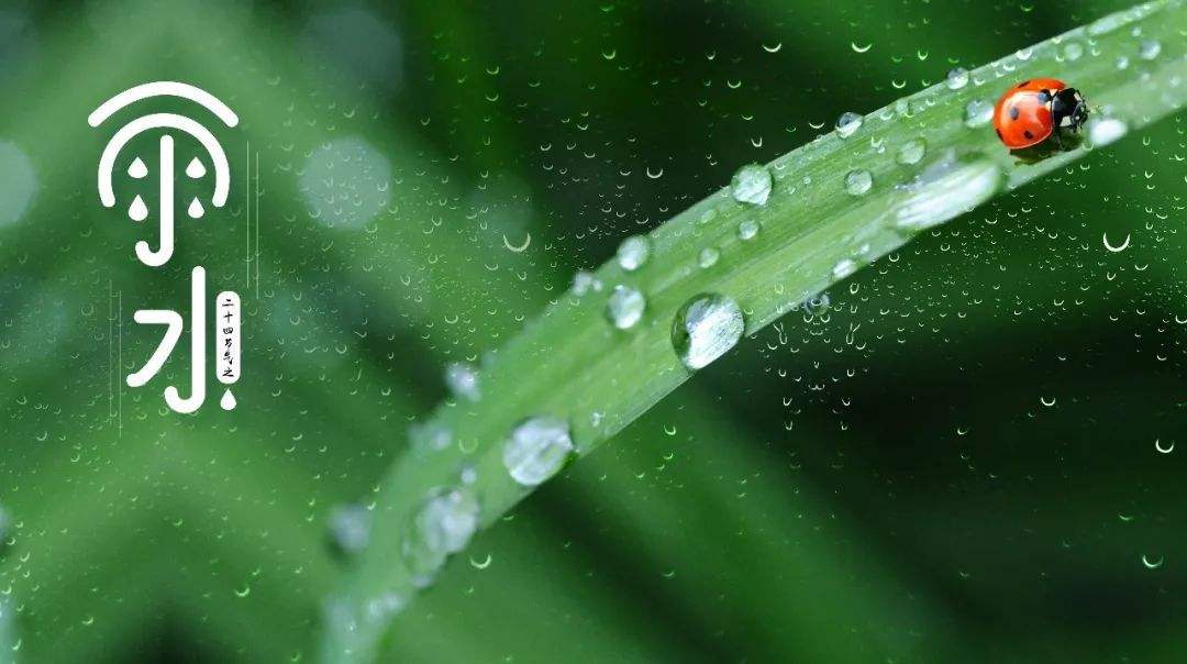 赞美春雨的文案短句大全赏析（愿你一路繁花向前，浅笑安然）