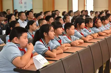 2022护航未成年小学***教育活动总结范文（守护成长路小学***宣传工作总结范例）