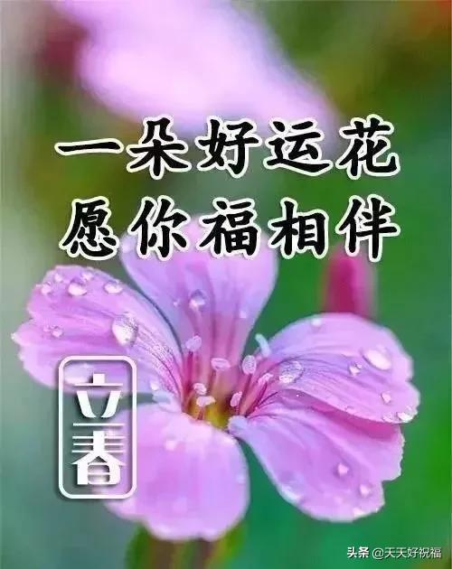 有关立春问候祝福语推荐（立春祝福唯美短句）