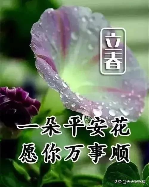 有关立春问候祝福语推荐（立春祝福唯美短句）