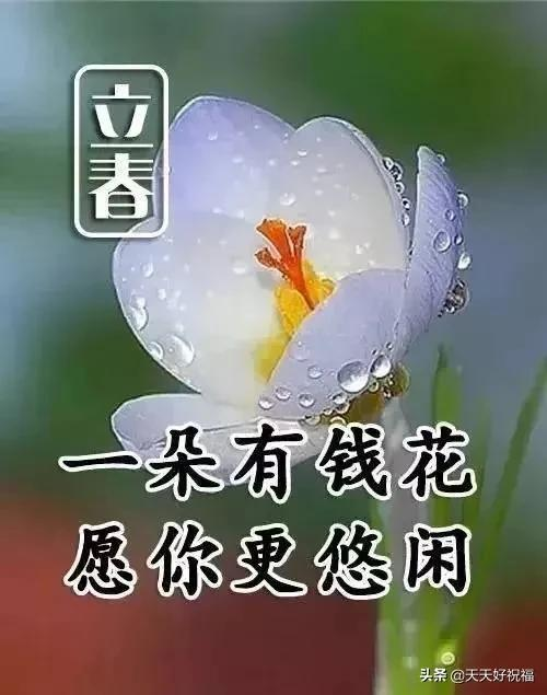 有关立春问候祝福语推荐（立春祝福唯美短句）