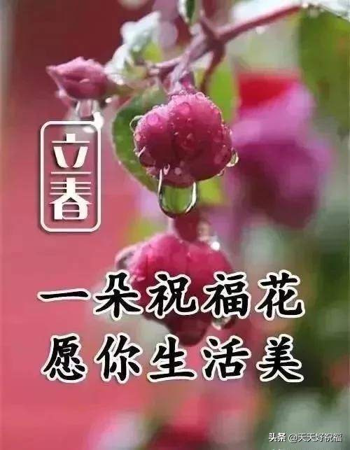 有关立春问候祝福语推荐（立春祝福唯美短句）