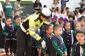 2022思则有备幼儿园安全教育主题总结范例（安不忘忧幼儿园安全教育工作总结范文）