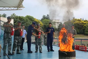 2022平安进万家消防宣传月活动总结范文（消防护万户消防宣传月宣传总结范例）