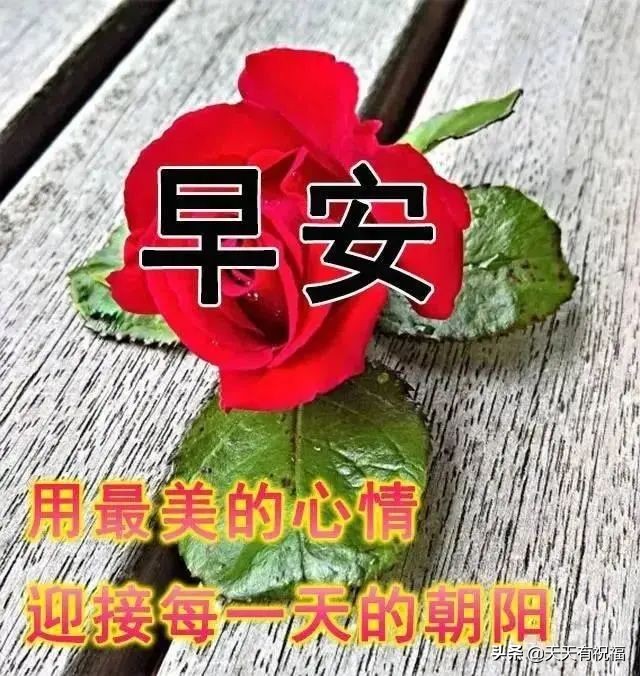 有关春分早安问候祝福语录（春分清晨唯美祝福短句）