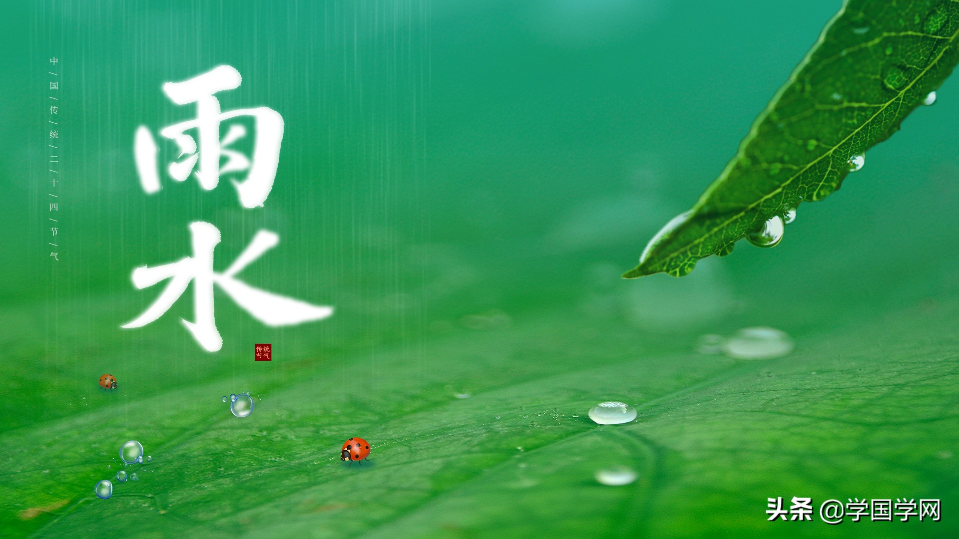 关于雨水的诗句有哪些（送你四句清新唯美诗句）