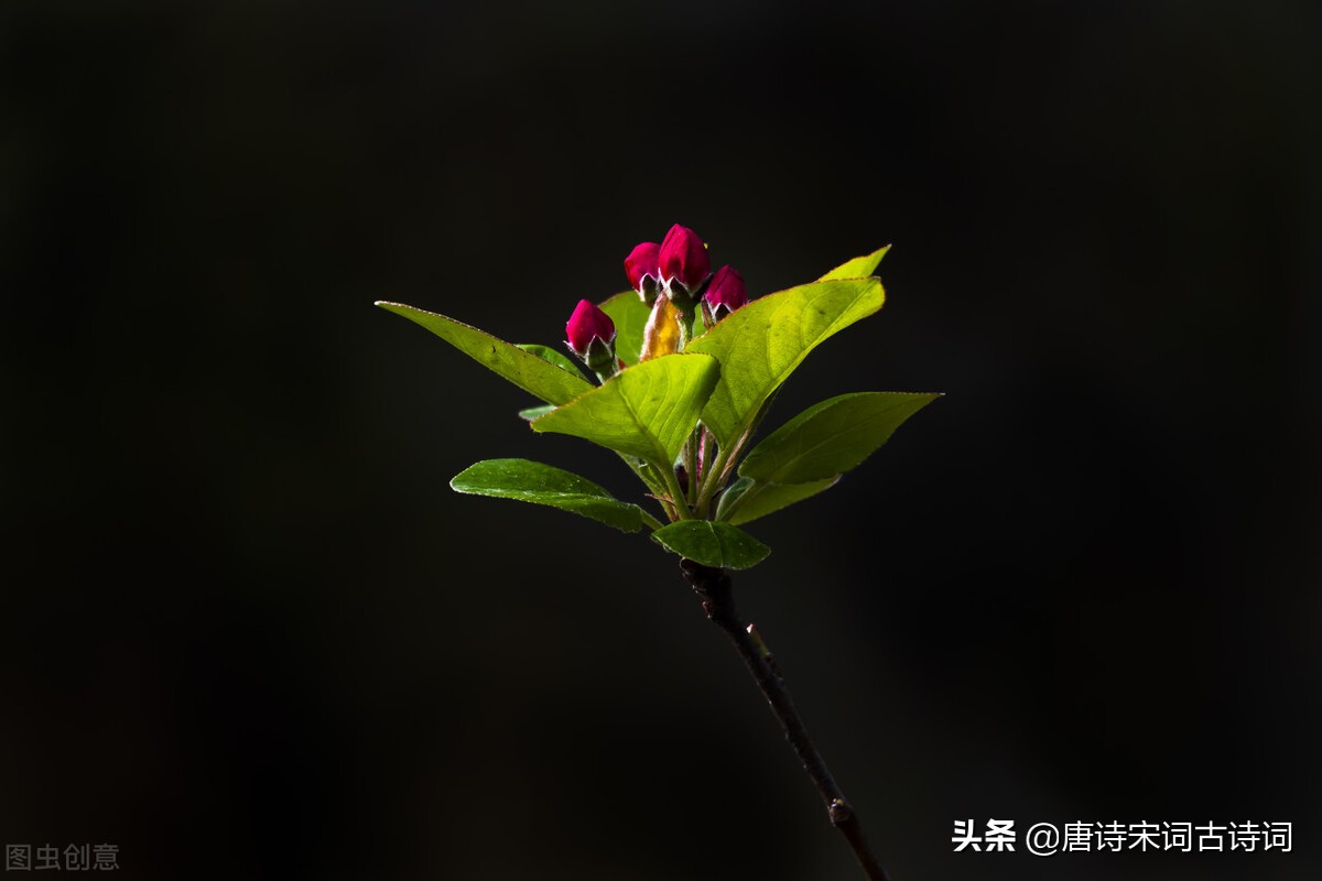 惊蛰节气的古诗词有哪些（分享惊蛰的精美古诗词及赏析）