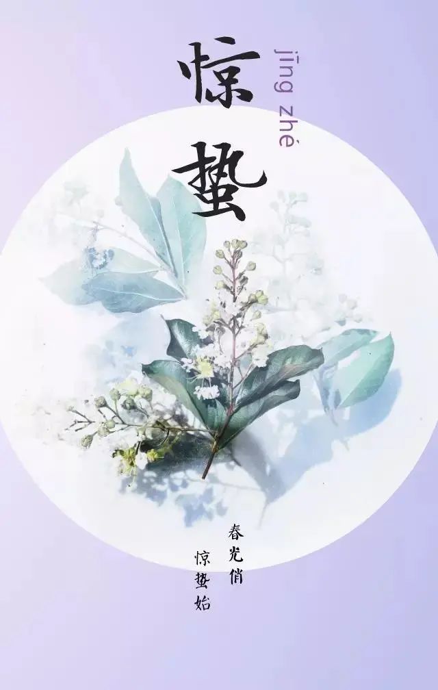 惊蛰正能量语录句子（愿一切美好，如你所愿）