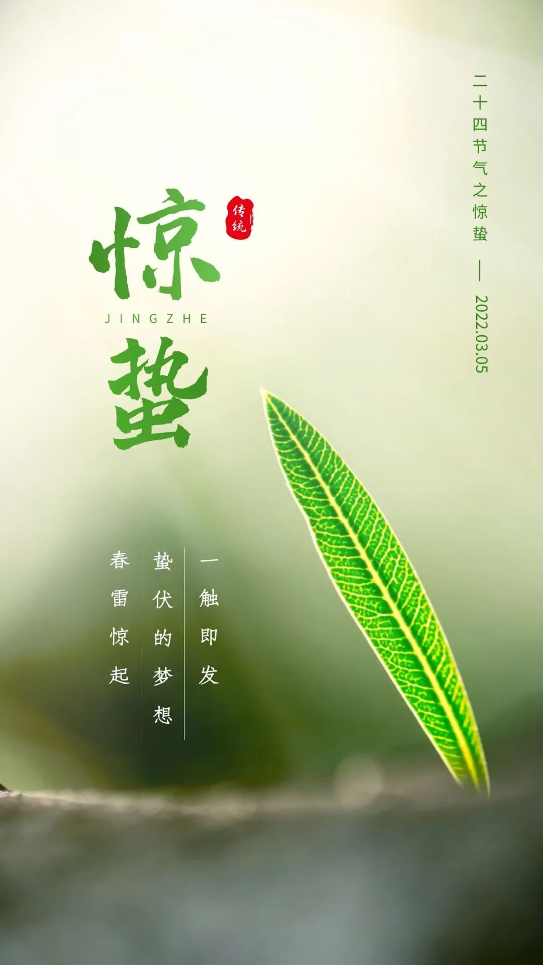 惊蛰正能量语录句子（愿一切美好，如你所愿）