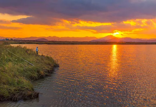 赞美夕阳优美的经典诗句赏析（夕阳无限好，何惧近黄昏）