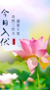 入伏祝福语文案大全（今日入伏，历尽尘埃三伏热）