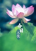 赞美入伏节气祝福语赏析（入伏暖心问候文案）