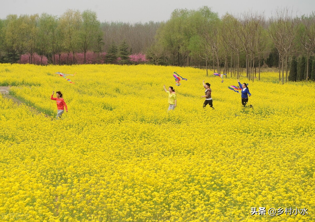 清明节有哪些习俗（清明节5个习俗和5个禁忌的详细讲解）