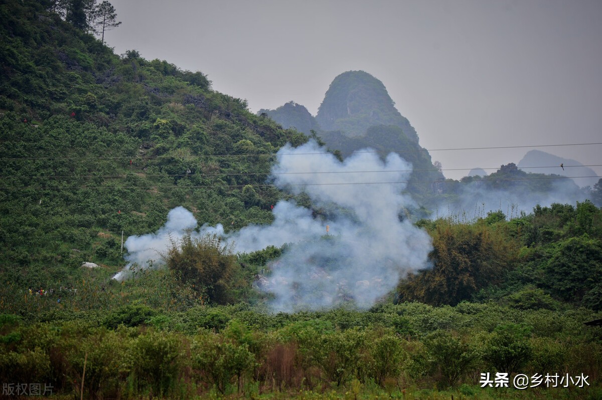 清明节有哪些习俗（清明节5个习俗和5个禁忌的详细讲解）