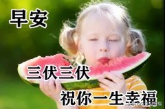 关于三伏天温馨问候语推荐（珍视你所拥有的，遗忘你所没有的）