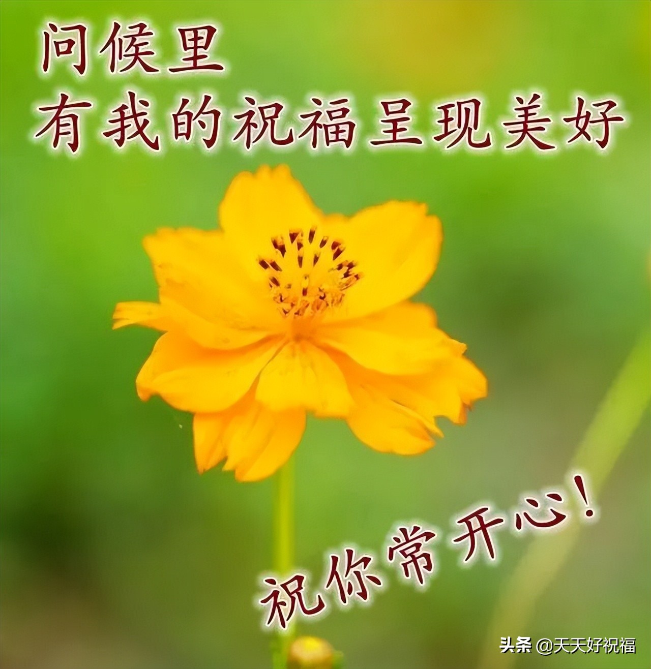 清明节早上好祝福语大全（平安吉祥，好运相随）