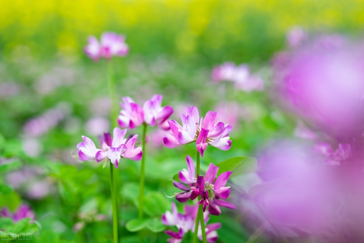 描写夏天7月的优美简短句子（七月你好的唯美文案）