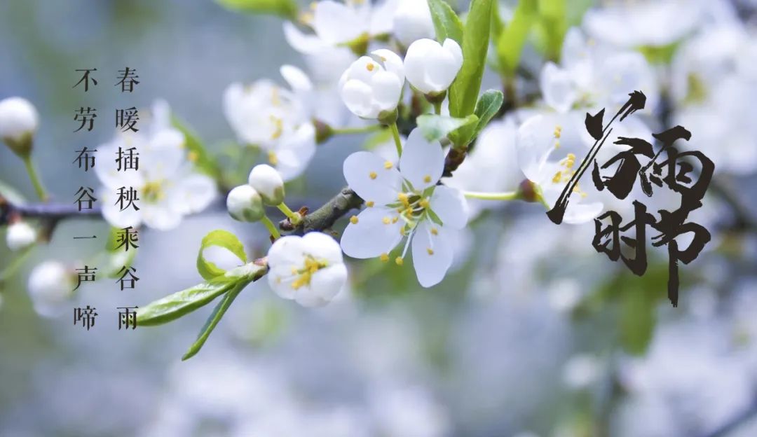 关于谷雨时节的古诗词有哪些（精选12首有关谷雨时节的经典古诗）