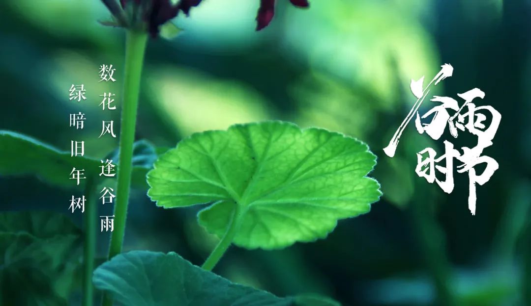 关于谷雨时节的古诗词有哪些（精选12首有关谷雨时节的经典古诗）