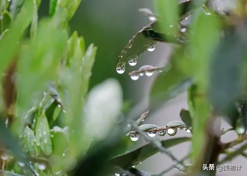 谷雨的人生励志语录（幸福，其实触手可得）