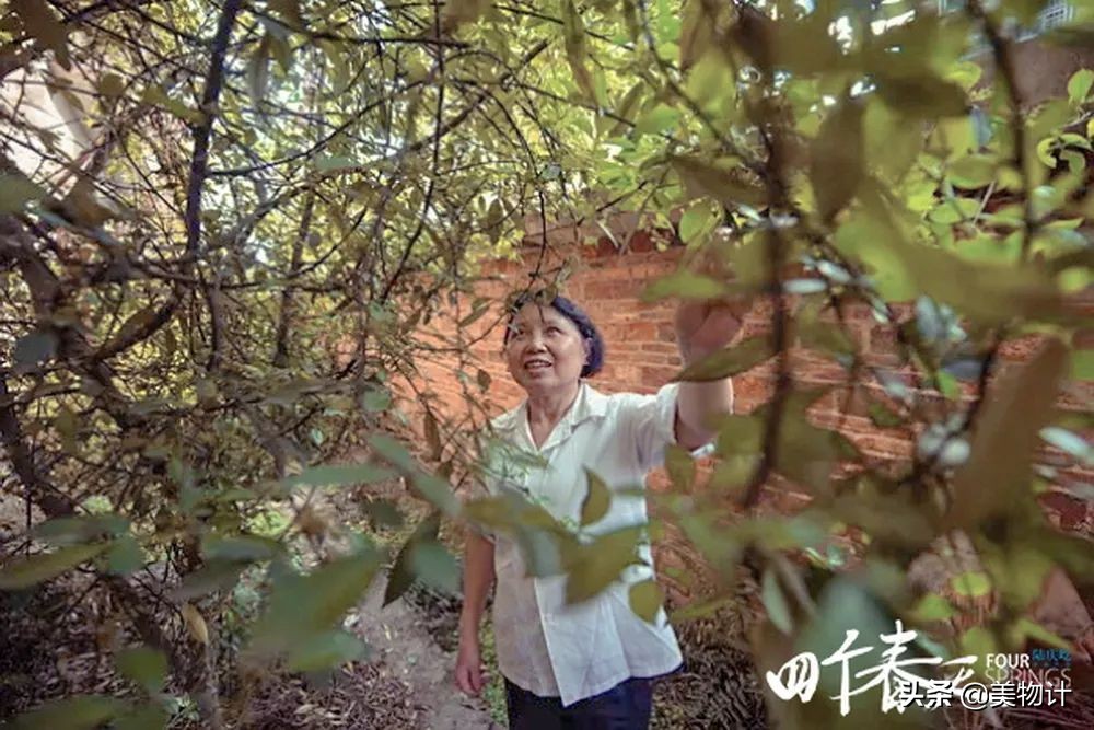 谷雨的人生励志语录（幸福，其实触手可得）