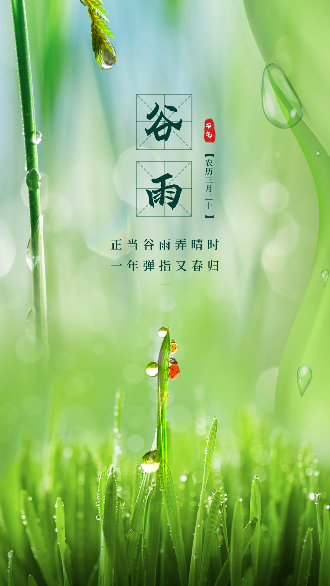 谷雨节气祝福语（愿你收获幸福每一天）