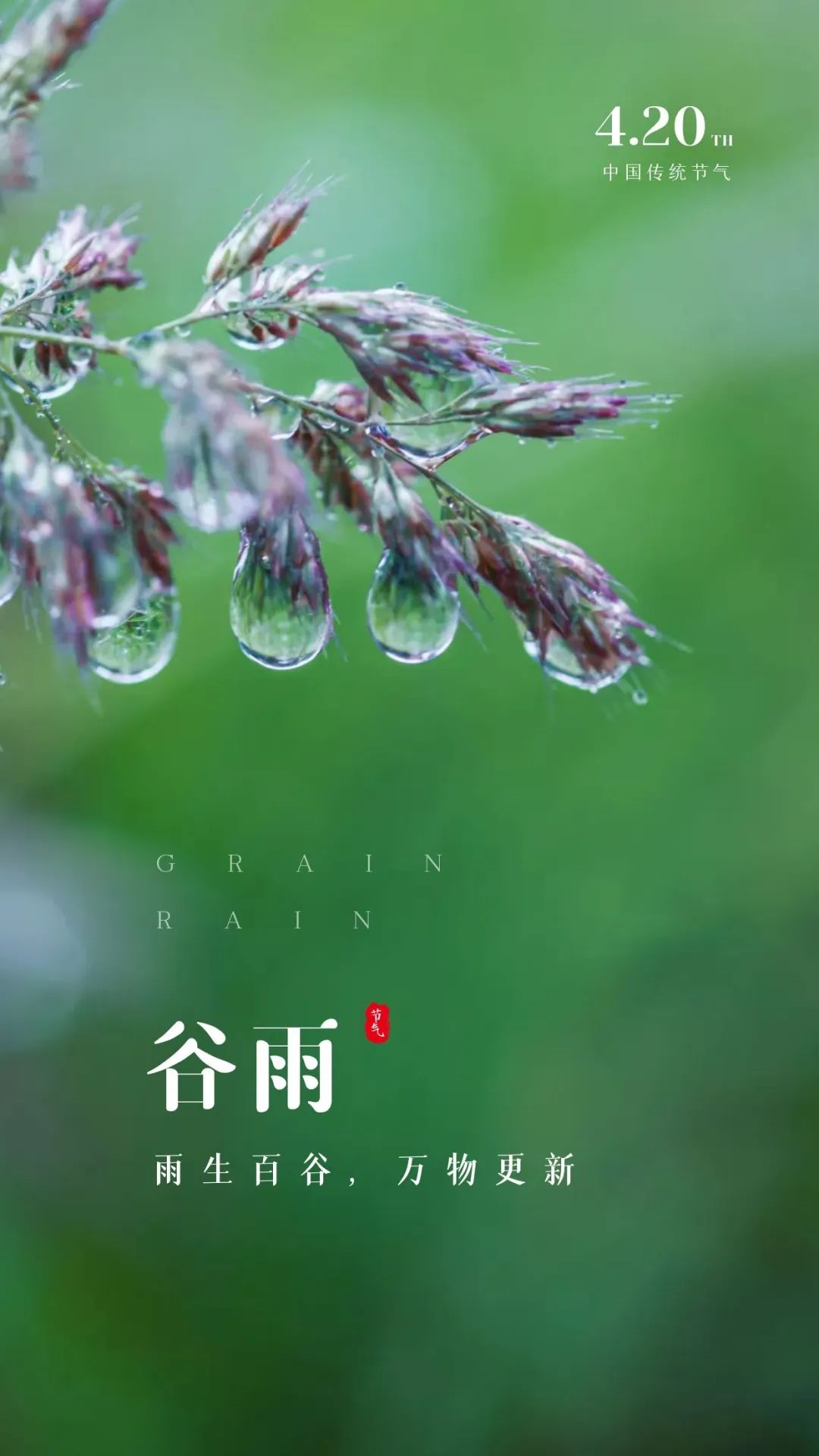 谷雨节气祝福语（愿你收获幸福每一天）