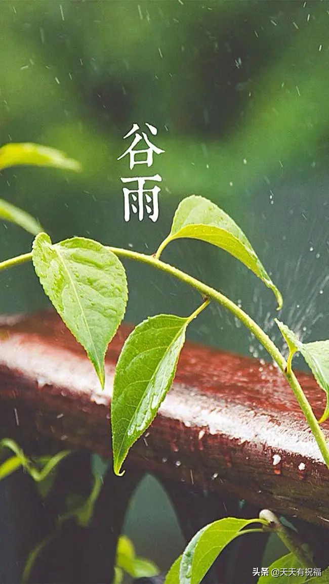 谷雨节气简短祝福语大全（祝谷雨快乐，万事如意）