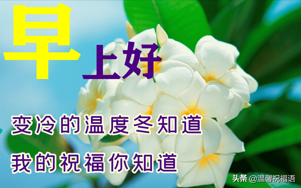 立夏早上好问候语推荐（立夏早安，祝阳光灿烂每一天）