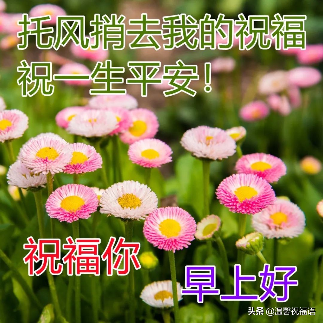 立夏正能量早安心语（立夏立夏，愿你幸福不止一“夏”）