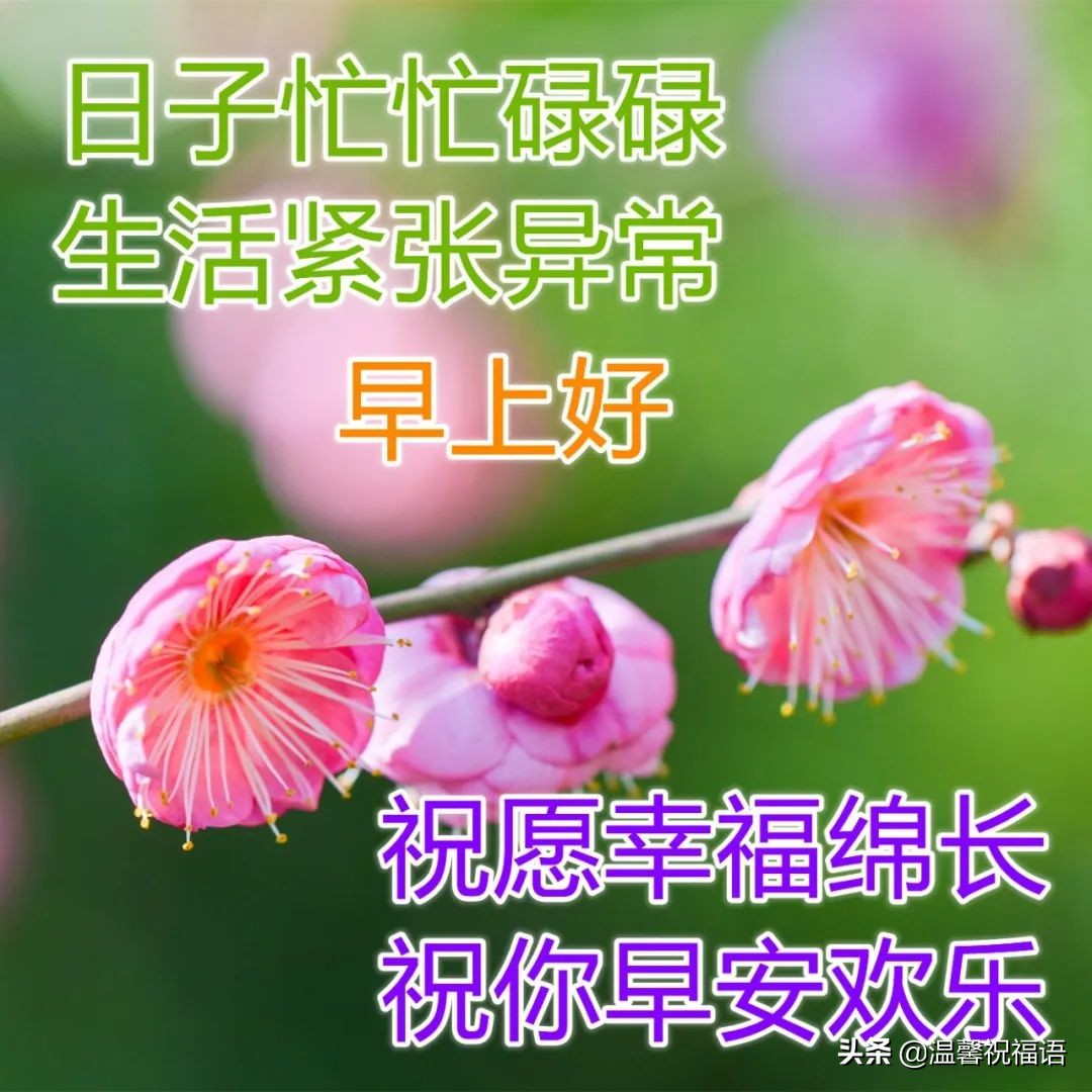 立夏正能量早安心语（立夏立夏，愿你幸福不止一“夏”）