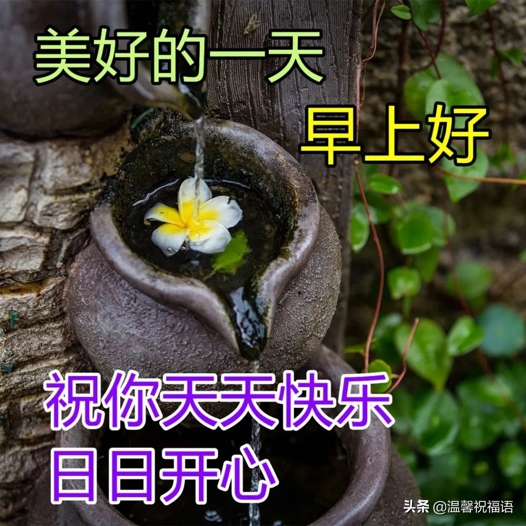 立夏正能量早安心语（立夏立夏，愿你幸福不止一“夏”）