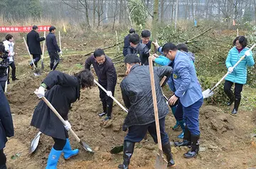 2022践行节能低碳6·15低碳日活动总结范文（建设美丽中国6.15低碳日普及总结范例）