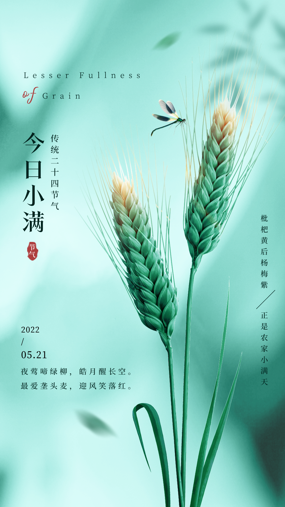 小满文案祝福语大全（关于小满文案的唯美句子）