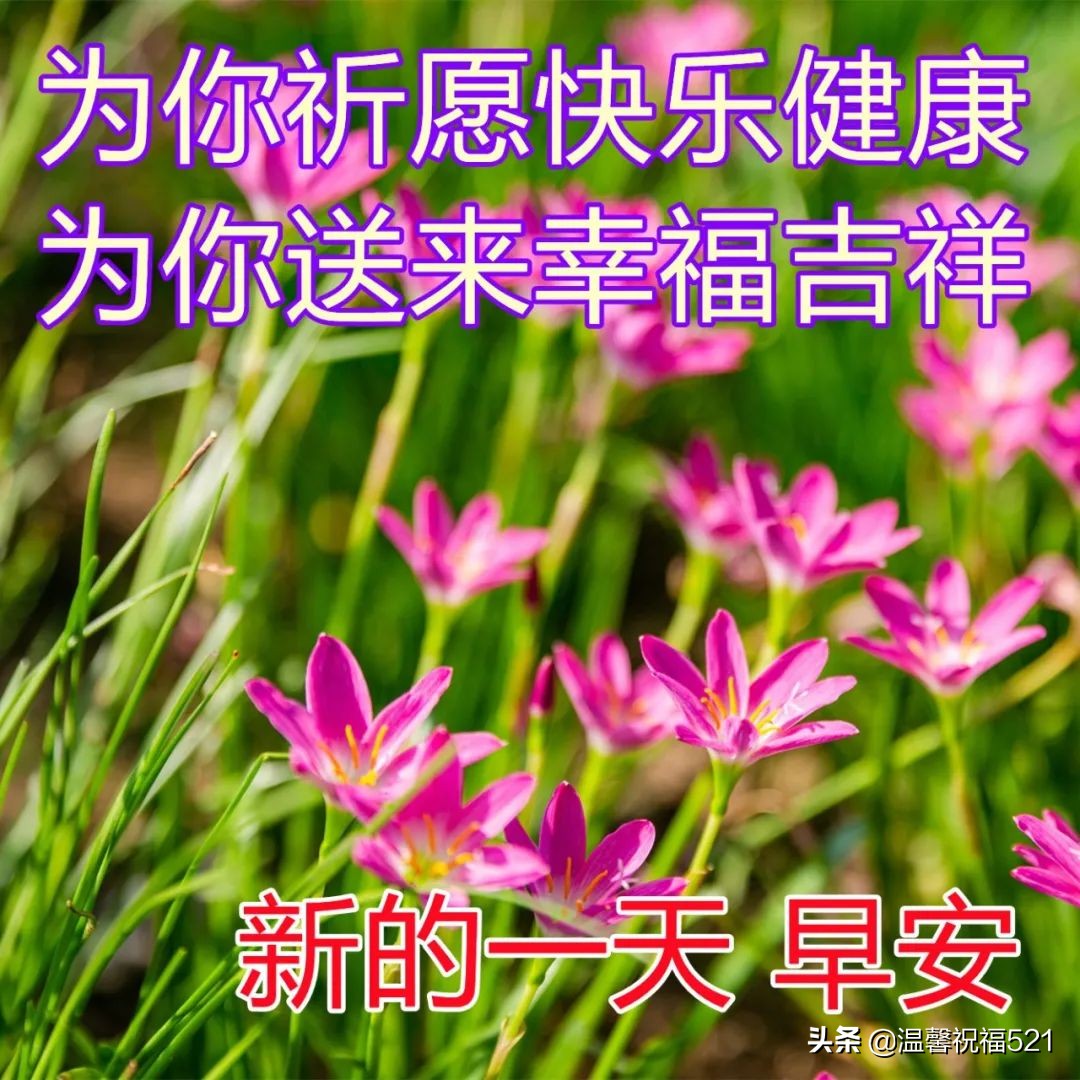 祝愿未来美好祝愿的文案（努力工作，快乐生活）