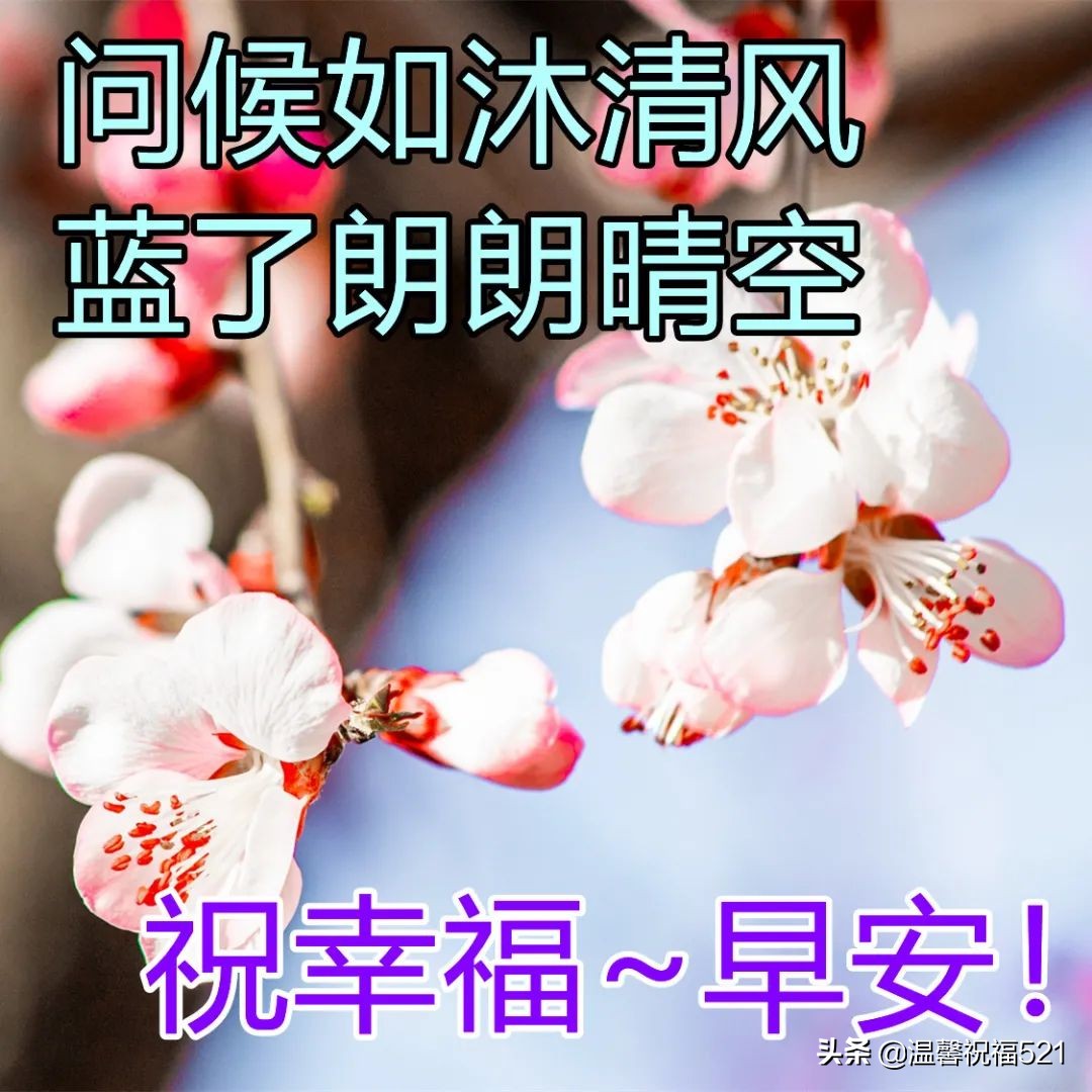 祝愿未来美好祝愿的文案（努力工作，快乐生活）