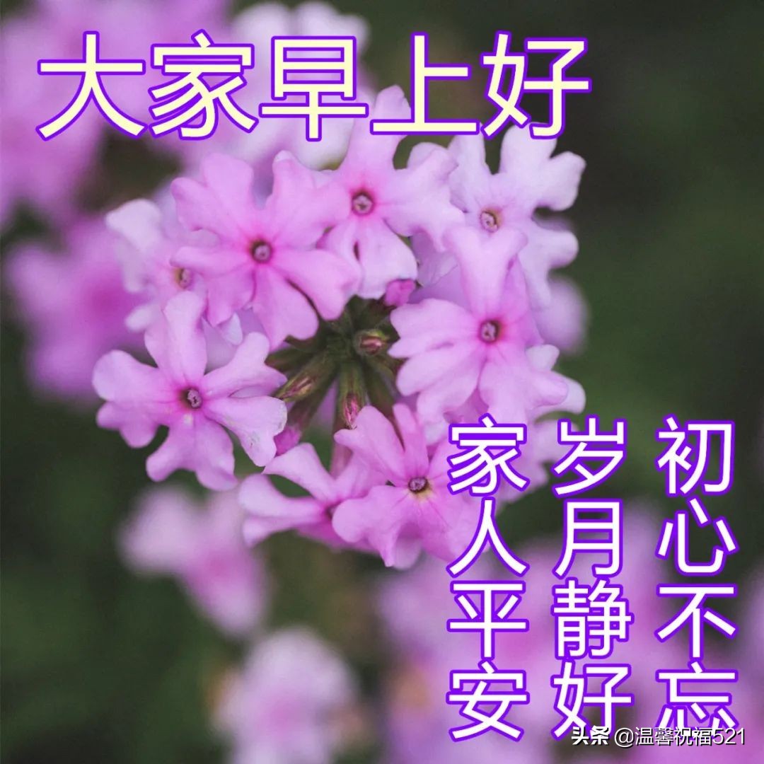 祝愿未来美好祝愿的文案（努力工作，快乐生活）