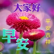 关于向日葵的励志语录分享（风雨人生，给自己一个微笑）