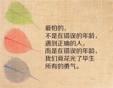 关于向日葵的激励短句赏析（做一个正能量的人，比什么都重要）