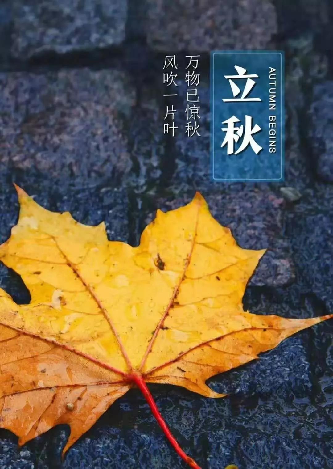 立秋文案大全（愿你熬过苦难，静候丰收）