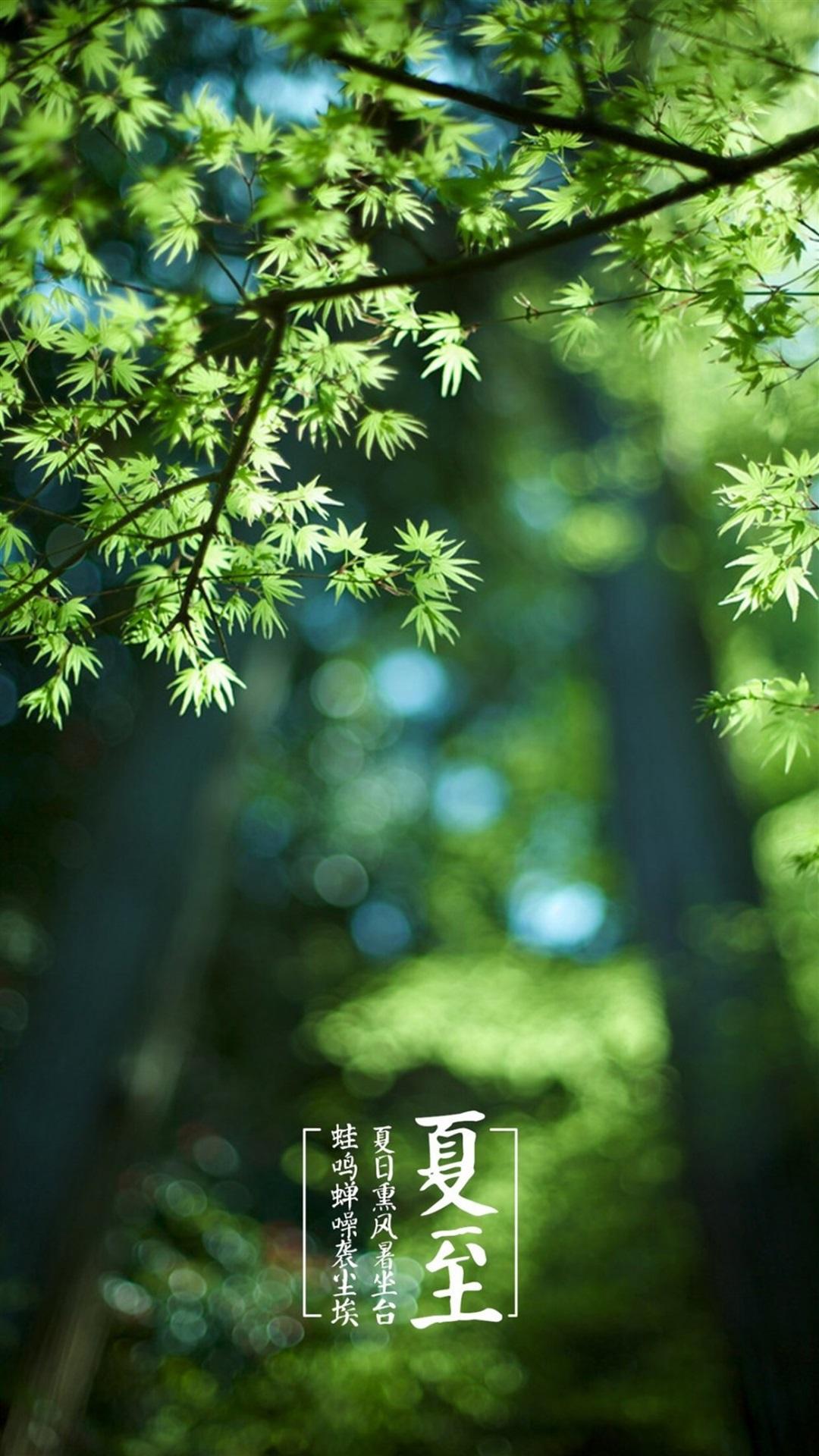 暖心夏至祝福语推荐（分享38句暖心夏至祝福语）