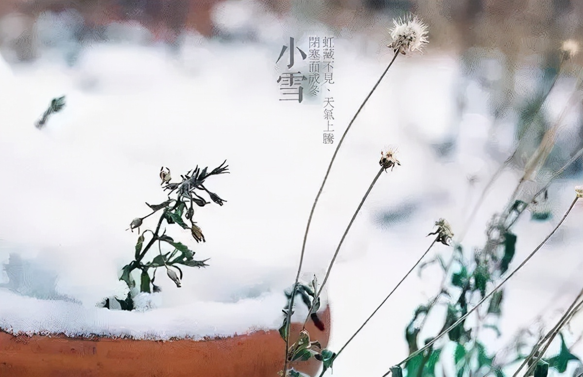 小雪问候语录推荐（小雪节气健健康康，快快乐乐）