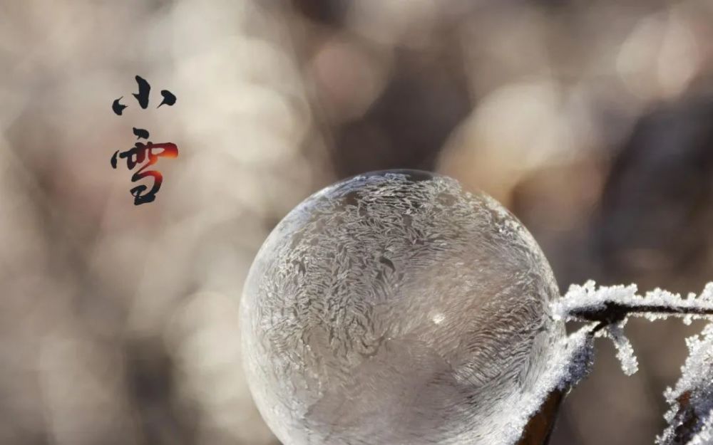 有关小雪节气温馨祝福语（小雪节气到，愿你好运缠绕）