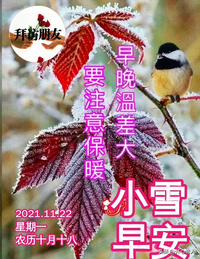 小雪祝福语及关心话（祝大家小雪快乐安康）