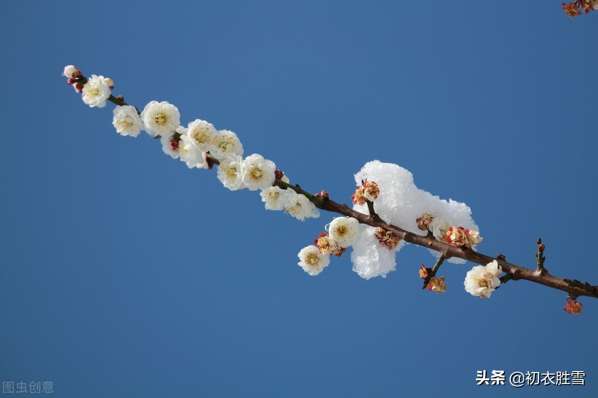 ​小雪节气古诗推荐（枫落吴江小雪天，一片飞来一片寒）