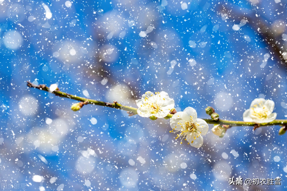 ​小雪节气古诗推荐（枫落吴江小雪天，一片飞来一片寒）