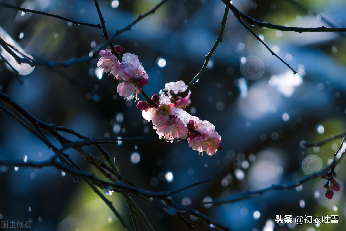 ​小雪节气古诗推荐（枫落吴江小雪天，一片飞来一片寒）